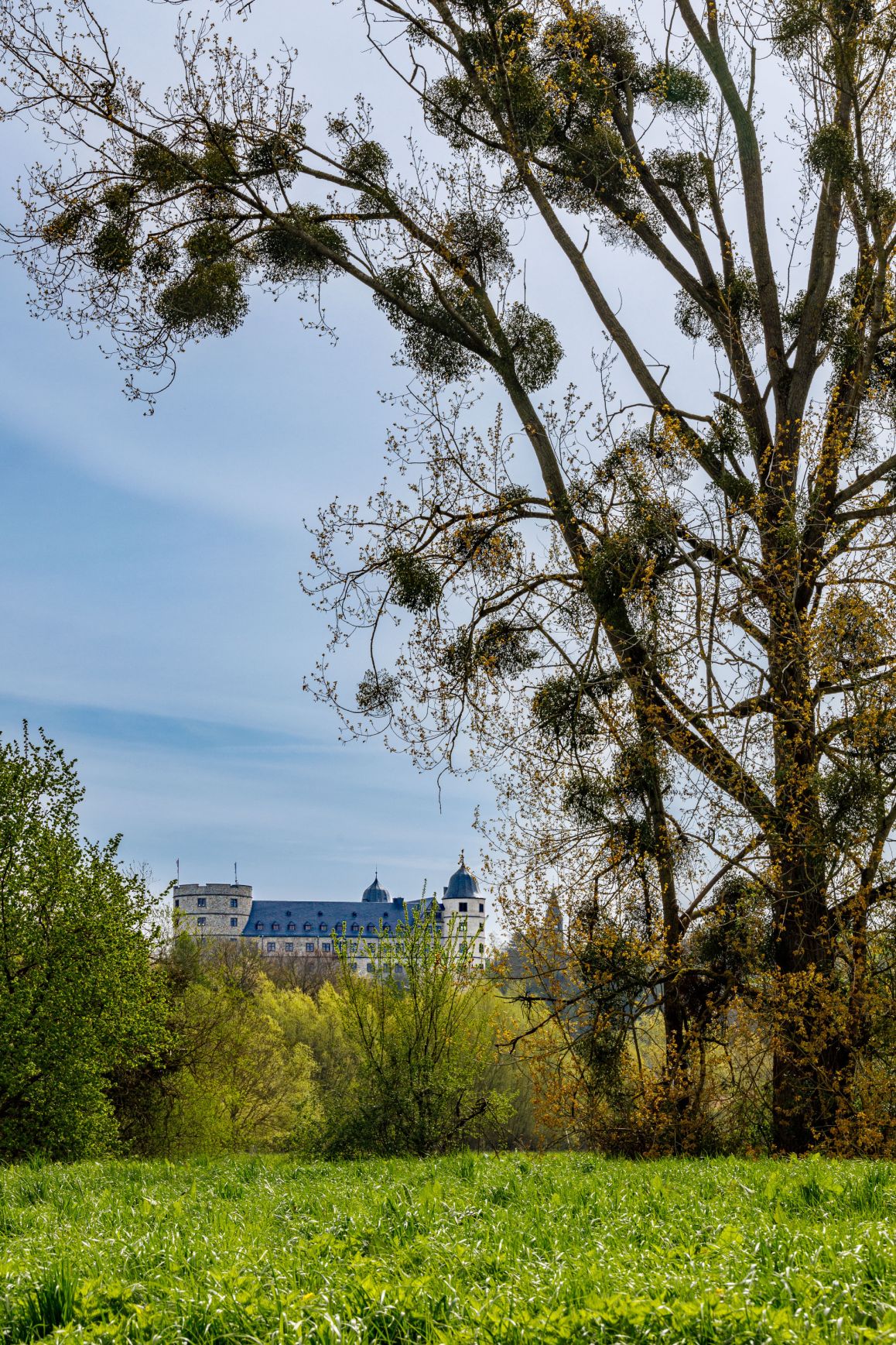 2023-05-07_Walter Nitsche_3